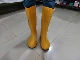 images (7)